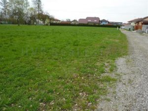 GetImage (25)